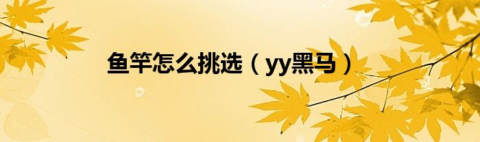 鱼竿怎么挑选（yy黑马）