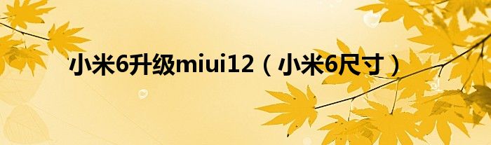 小米6升级miui12（小米6尺寸）
