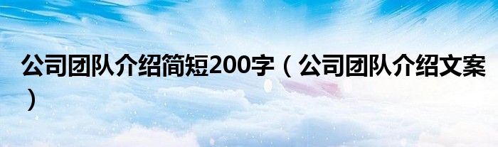公司团队介绍简短200字（公司团队介绍文案）
