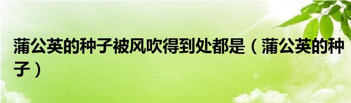 蒲公英的种子被风吹得到处都是（蒲公英的种子）