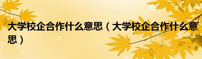 大学校企合作什么意思（大学校企合作什么意思）
