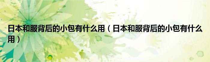 日本和服背后的小包有什么用（日本和服背后的小包有什么用）