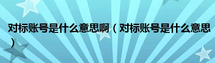 对标账号是什么意思啊（对标账号是什么意思）
