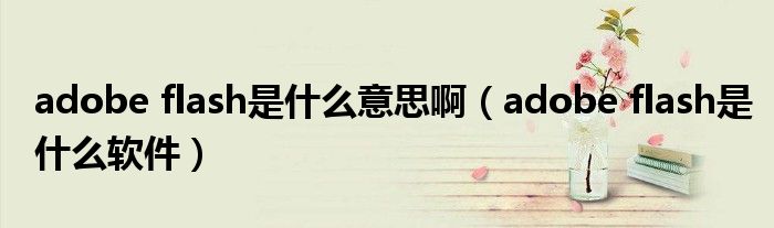 adobe flash是什么意思啊（adobe flash是什么软件）