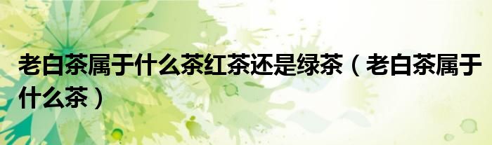 老白茶属于什么茶红茶还是绿茶（老白茶属于什么茶）