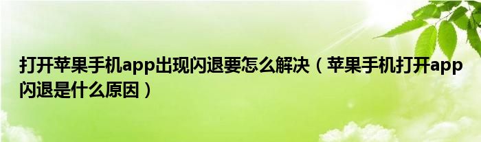 打开苹果手机app出现闪退要怎么解决（苹果手机打开app闪退是什么原因）