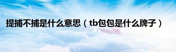 提捕不捕是什么意思（tb包包是什么牌子）