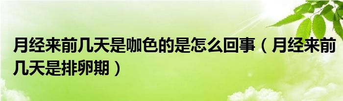 月经来前几天是咖色的是怎么回事（月经来前几天是排卵期）