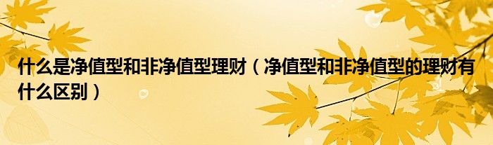 什么是净值型和非净值型理财（净值型和非净值型的理财有什么区别）