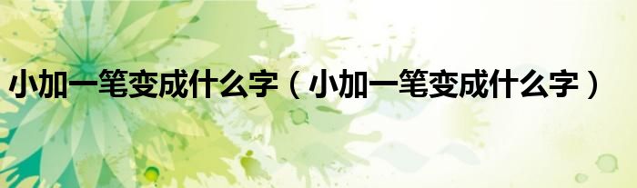 小加一笔变成什么字（小加一笔变成什么字）