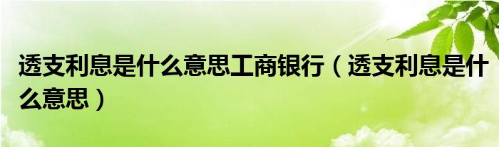 透支利息是什么意思工商银行（透支利息是什么意思）
