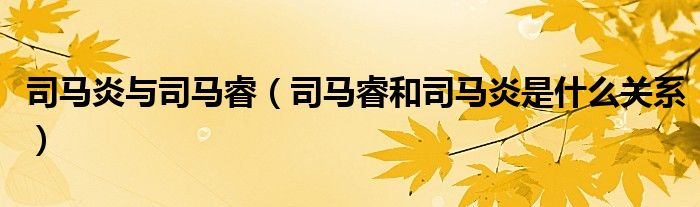 司马炎与司马睿（司马睿和司马炎是什么关系）