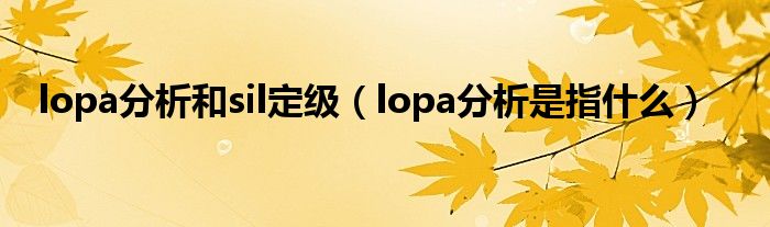 lopa分析和sil定级（lopa分析是指什么）