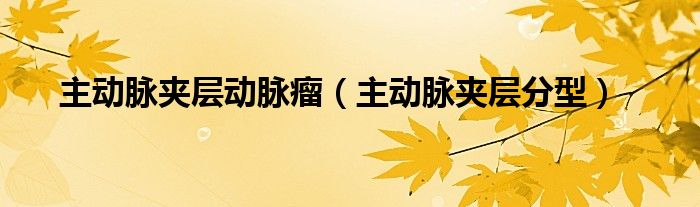 主动脉夹层动脉瘤（主动脉夹层分型）