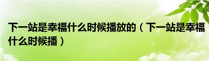 下一站是幸福什么时候播放的（下一站是幸福什么时候播）