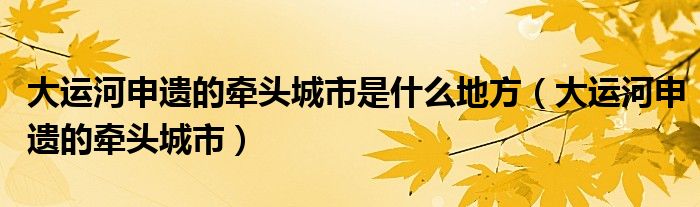 大运河申遗的牵头城市是什么地方（大运河申遗的牵头城市）