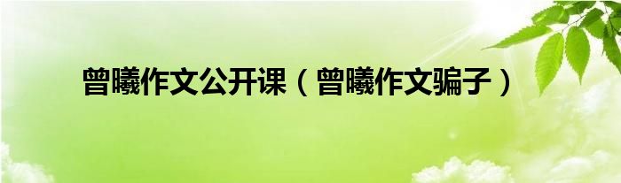 曾曦作文公开课（曾曦作文骗子）