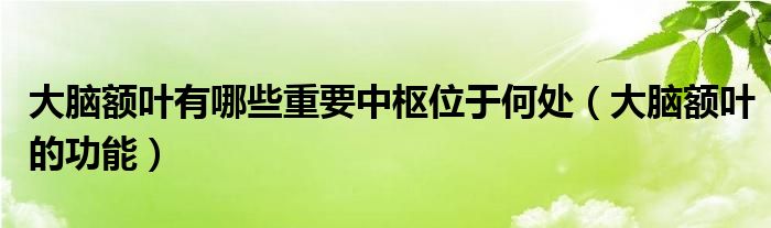 大脑额叶有哪些重要中枢位于何处（大脑额叶的功能）