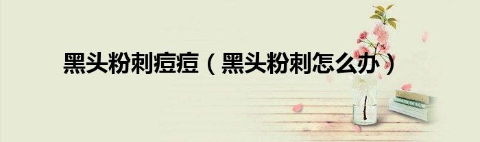 黑头粉刺痘痘（黑头粉刺怎么办）