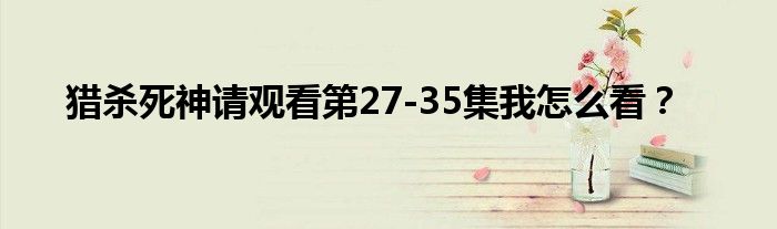 猎杀死神请观看第27-35集我怎么看？