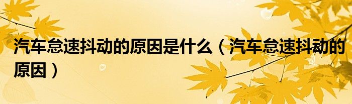 汽车怠速抖动的原因是什么（汽车怠速抖动的原因）