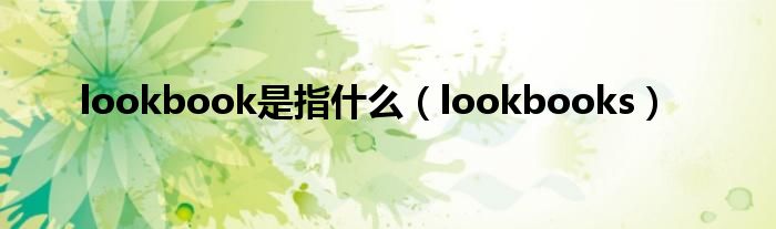lookbook是指什么（lookbooks）