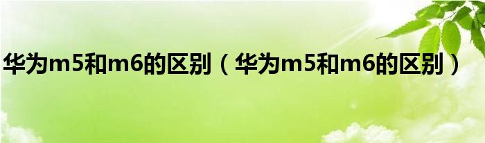华为m5和m6的区别（华为m5和m6的区别）