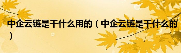 中企云链是干什么用的（中企云链是干什么的）