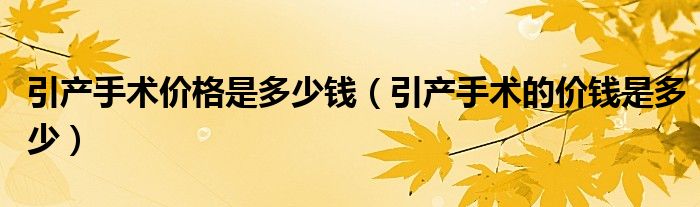 引产手术价格是多少钱（引产手术的价钱是多少）