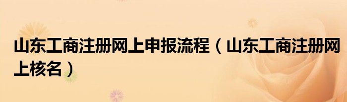 山东工商注册网上申报流程（山东工商注册网上核名）