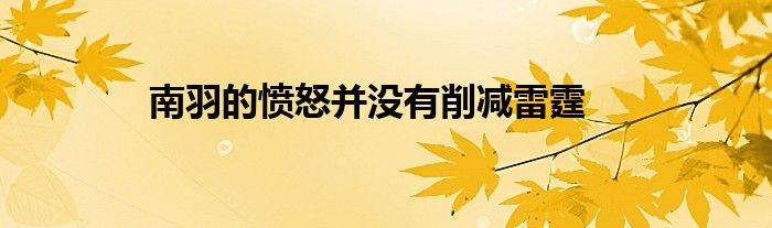南羽的愤怒并没有削减雷霆