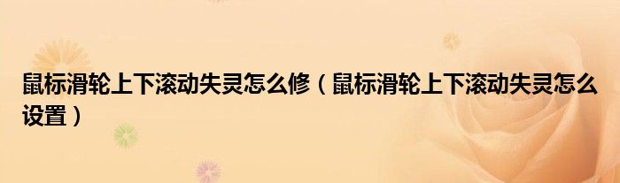 鼠标滑轮上下滚动失灵怎么修（鼠标滑轮上下滚动失灵怎么设置）