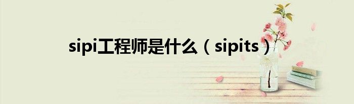 sipi工程师是什么（sipits）
