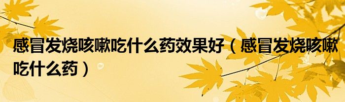 感冒发烧咳嗽吃什么药效果好（感冒发烧咳嗽吃什么药）