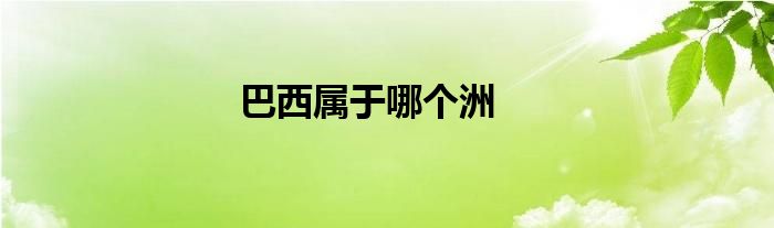巴西属于哪个洲