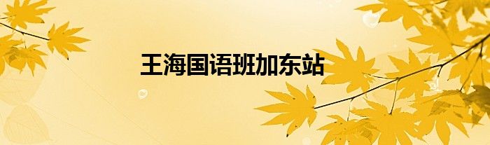 王海国语班加东站
