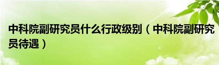 中科院副研究员什么行政级别（中科院副研究员待遇）
