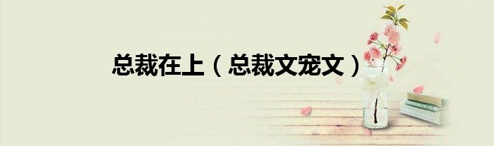 总裁在上(总裁文宠文)