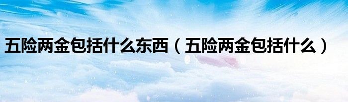 五险两金包括什么东西（五险两金包括什么）