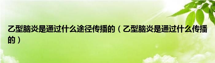 乙型脑炎是通过什么途径传播的（乙型脑炎是通过什么传播的）