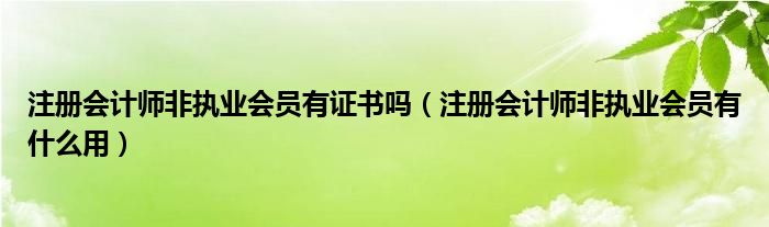 注册会计师非执业会员有证书吗（注册会计师非执业会员有什么用）
