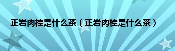 正岩肉桂是什么茶（正岩肉桂是什么茶）