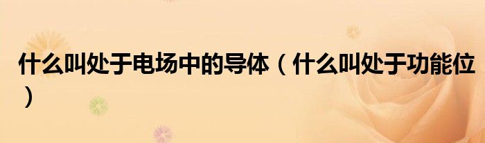 什么叫处于电场中的导体（什么叫处于功能位）