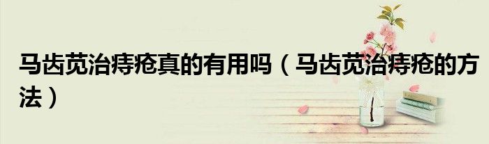 马齿苋治痔疮真的有用吗（马齿苋治痔疮的方法）