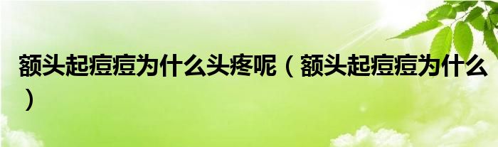 额头起痘痘为什么头疼呢（额头起痘痘为什么）