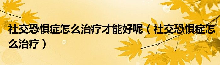 社交恐惧症怎么治疗才能好呢（社交恐惧症怎么治疗）
