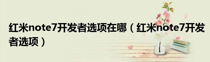 红米note7开发者选项在哪（红米note7开发者选项）