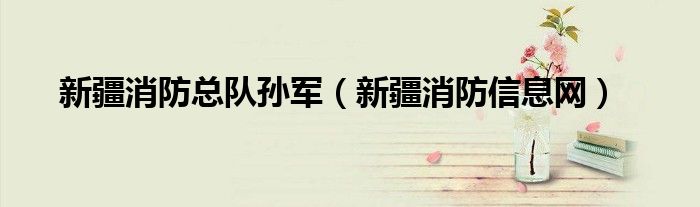 新疆消防总队孙军（新疆消防信息网）