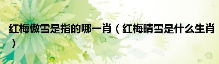 红梅傲雪是指的哪一肖（红梅晴雪是什么生肖）
