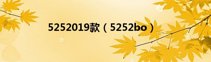 5252019款（5252bo）